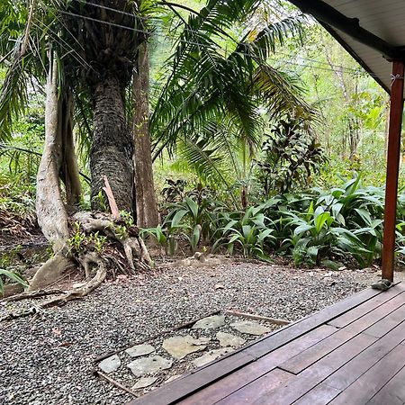 Chosa Manglar Suites & Cabins Puerto Jiménez 外观 照片
